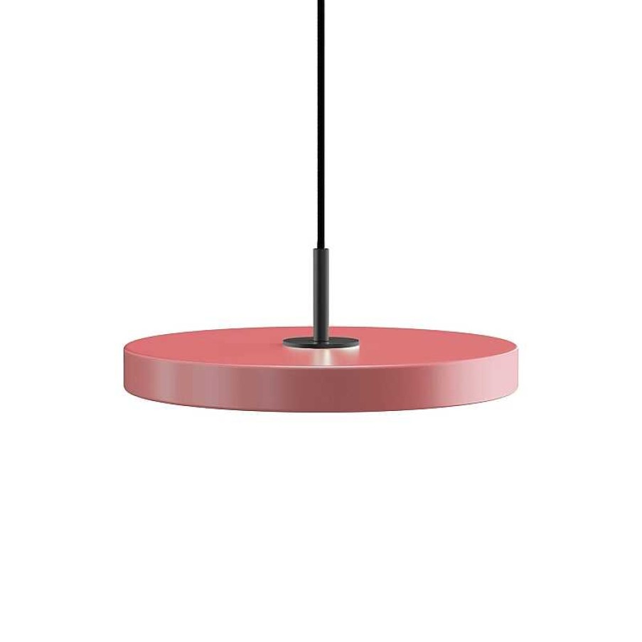 Iluminaci N Umage | L Mpara Techo Black Asteria Nuance Rose