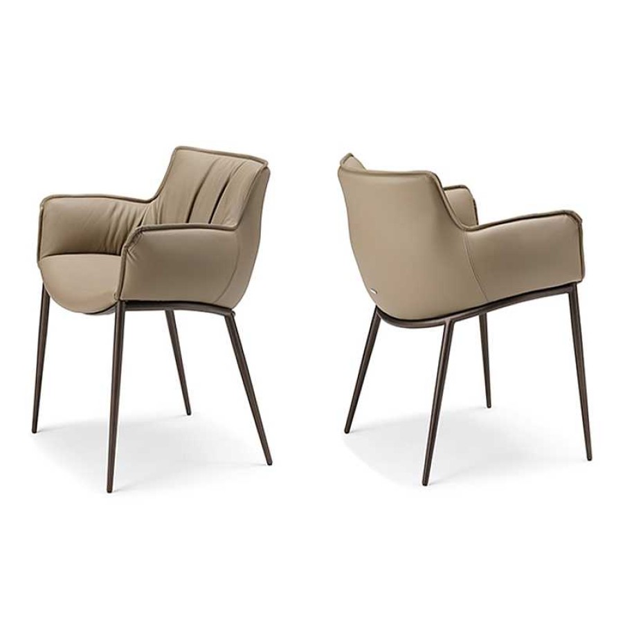 Sillas Cattelan Italia | Sill N Rhonda