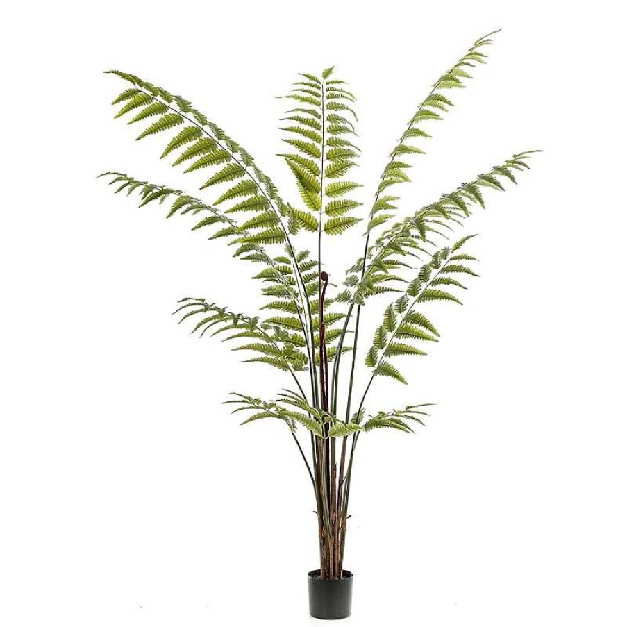 Decoraci N PlantDecor Plantas Decorativas | Rbol Fern Green