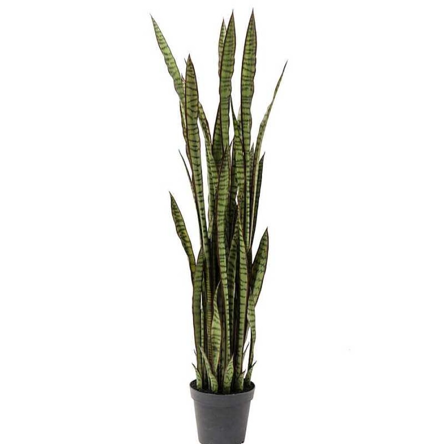 Decoraci N Kare Design Plantas Decorativas | Planta Decorativa Sansevieria