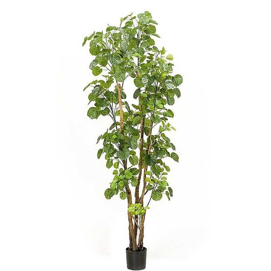 Decoraci N PlantDecor Plantas Decorativas | Rbol Artificial Aralia