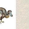 Decoraci N Arte Wallcoverings Papel Pintado Arte | Revestimiento Mural Moooi Dodo Pavone