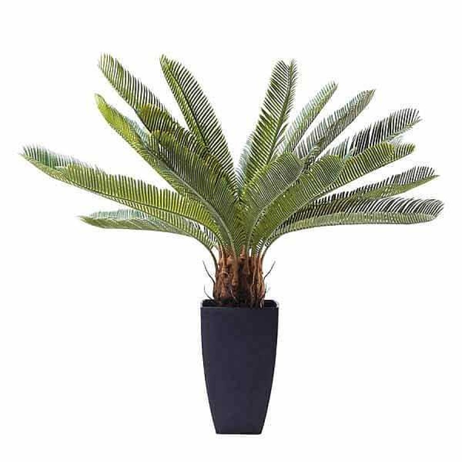 Muebles De Jard N Kare Design | Planta Decorativa Cycas