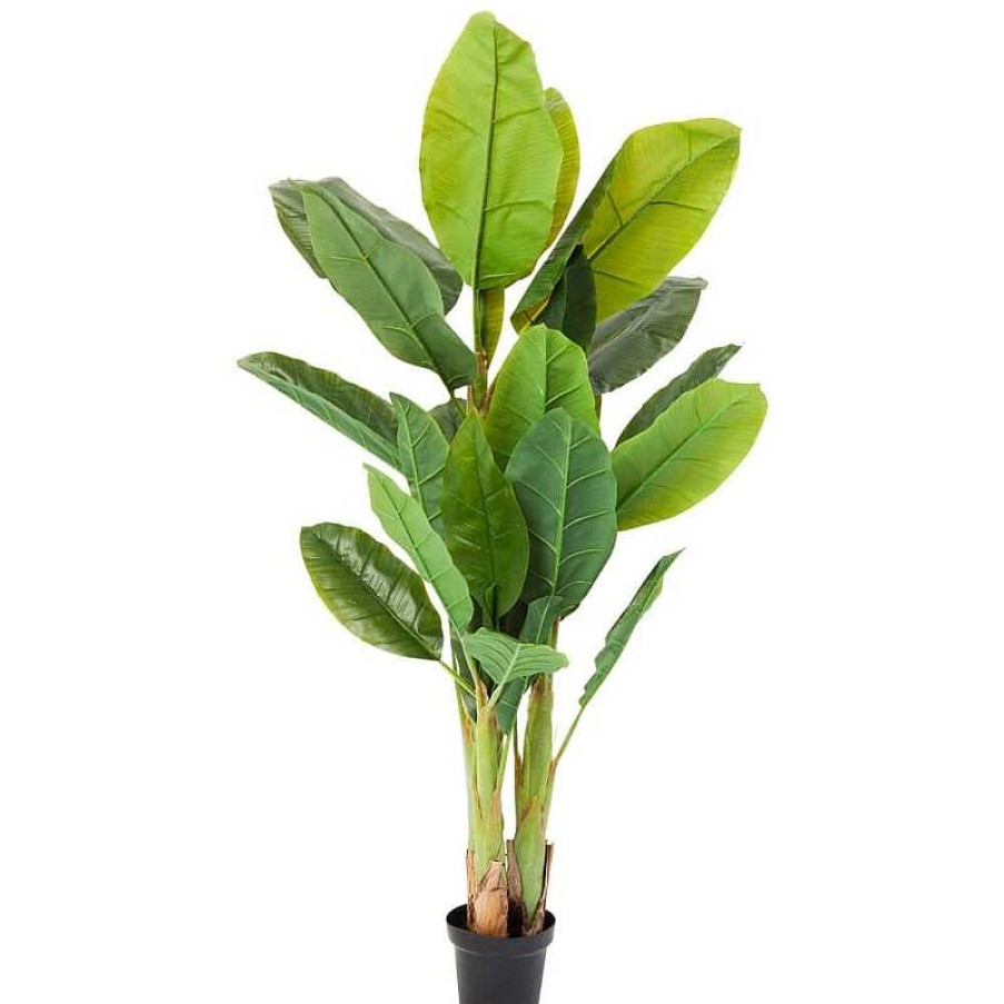 Decoraci N Kare Design Plantas Decorativas | Planta Artificial Platanero